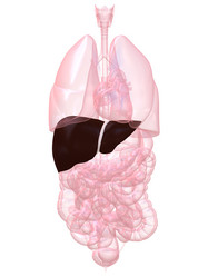 Similar image 8216310