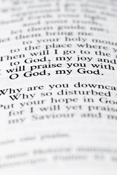 Similar image 8216378