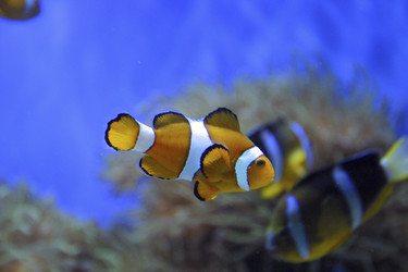 Similar image 8216404