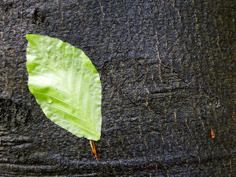 Similar image 8216424