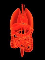 Similar image 8216471