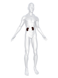 Similar image 8216508