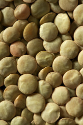 Similar image 8216528