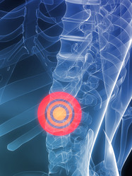 Similar image 8216572