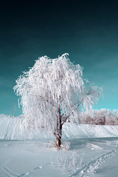 Similar image 8216589