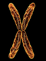 Similar image 8216595