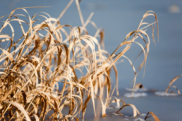 Similar image 8216633