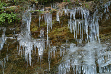 Similar image 8216678