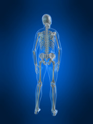 Similar image 8216719