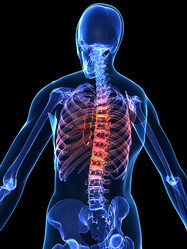 Similar image 8216729