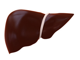 Similar image 8216745