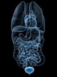 Similar image 8216758