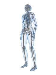 Similar image 8216795