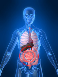 Similar image 8216805