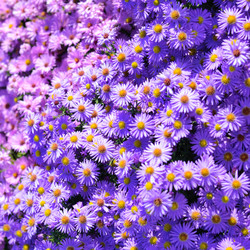 Similar image 8216811