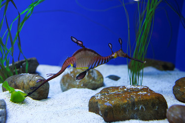 Similar image 8216822