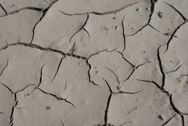 Similar image 8216825