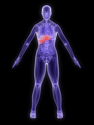 Similar image 8216831