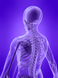 Similar image 8216874