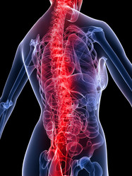 Similar image 8216889