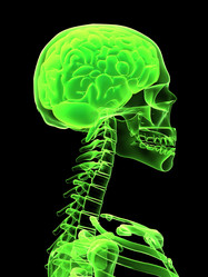 Similar image 8216931