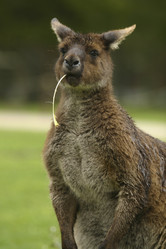 Similar image 8216944