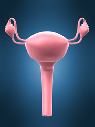 Similar image 8217078