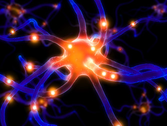 Similar image 8217080