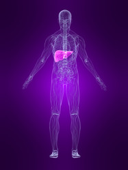 Similar image 8217092