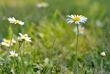 Similar image 8217103