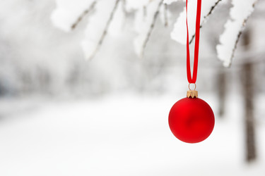 Similar image 8217186