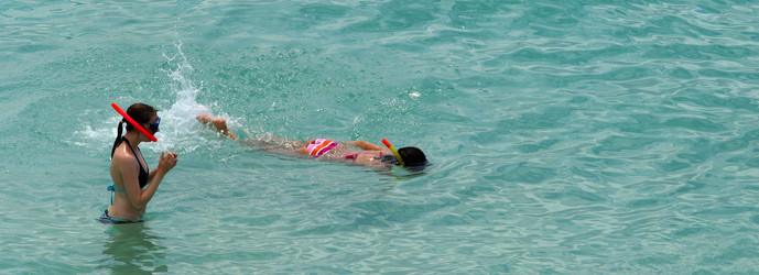 Similar image 8217188