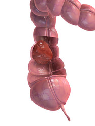 Similar image 8217231