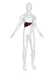 Similar image 8217257