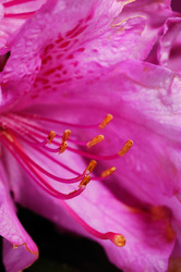 Similar image 8217284