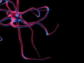 Similar image 8217302