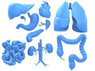 Similar image 8217323