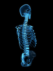 Similar image 8217331