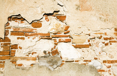 Similar image 8217340