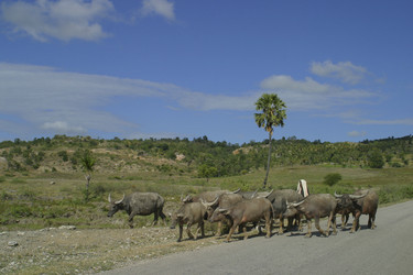 Similar image 8217476