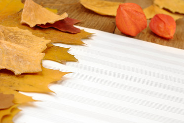 Similar image 8217482