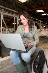 Similar image 8217488