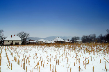 Similar image 8217493