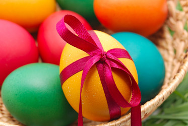 Similar image 8217495