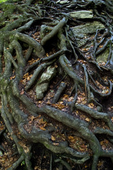 Similar image 8217536