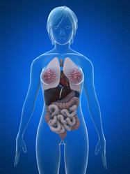 Similar image 8217578