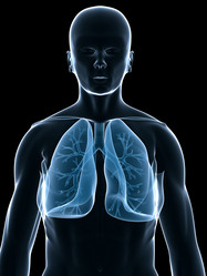 Similar image 8217598