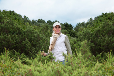 Similar image 8217617