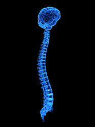 Similar image 8217641