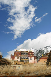 Similar image 8217650